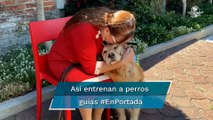 Enseñan a perros a ver por otros #EnPortada