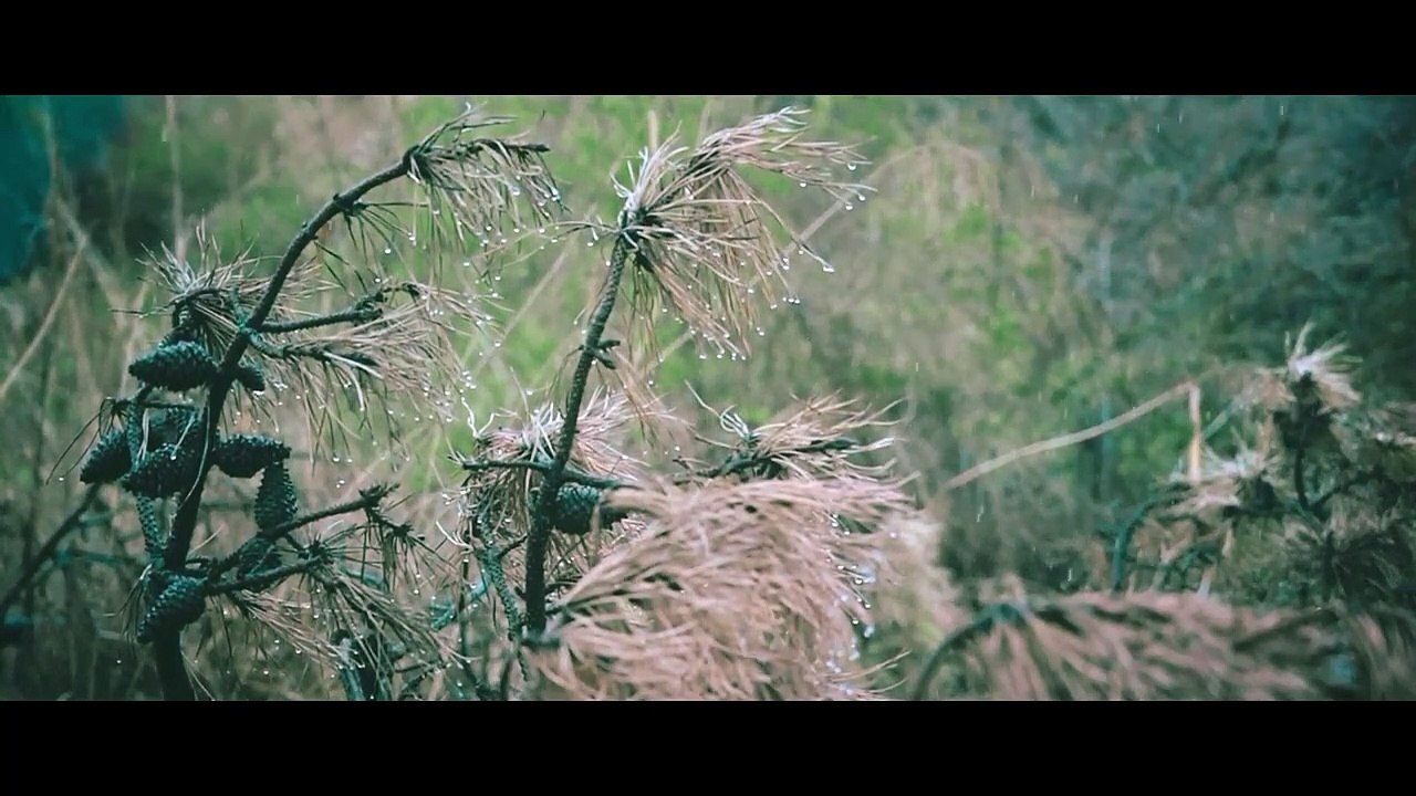CINEMATIC VIDEO