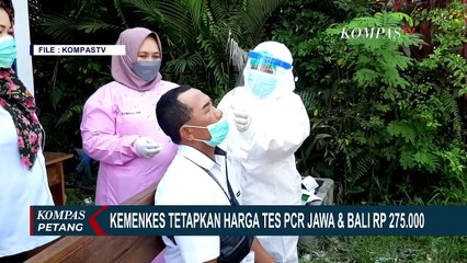 Kenapa Harga Tes PCR Baru Turun Setelah 2 Tahun?
