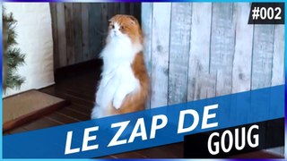 LE ZAP DE GOUG N°2 - FUN, FAILS, CHOC & INSOLITE