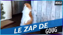 LE ZAP DE GOUG N°2 - FUN, FAILS, CHOC & INSOLITE