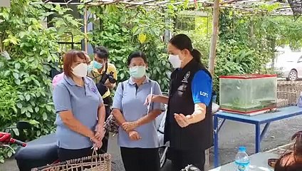 อสม. ร้อง รมว.สาธารณสุข หลังมีหนังสือขอความร่วมมือจาก กกต.ให้หยุดปฏิบัติหน้าที่