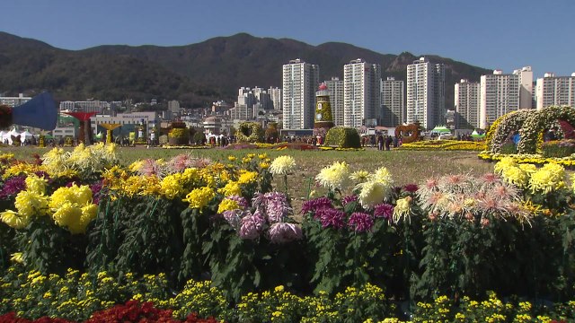 일상회복 기대하며 가을 정취 만끽 / YTN