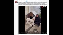 Bakan Koca'dan içleri ısıtan paylaşım! Köpeği Sultan ve yavrularının videosunu yayınladı