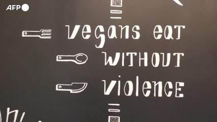 Cucina, cresce l'Italia vegana e gli chef raccolgono la sfida