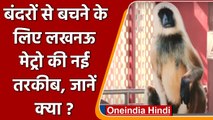 Lucknow: Metro Station पर बंदरों का आतंक, लगाए गए Langurs के कटआउट | वनइंडिया हिंदी