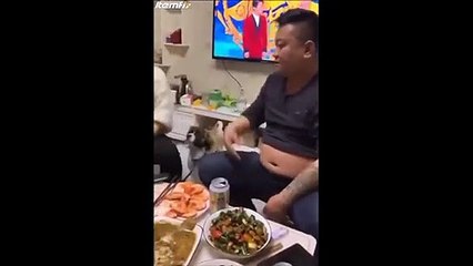 2 chiens féministes protègent leur maitresse