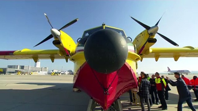 Соседи помогают тушить лесной пожар в Австрии