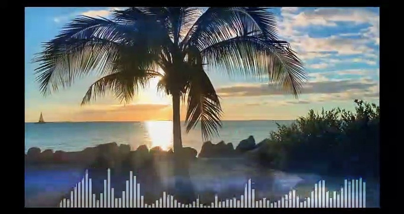 Summerlibe _ Sunnight