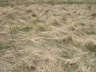 Course poursuite sur la falaise....