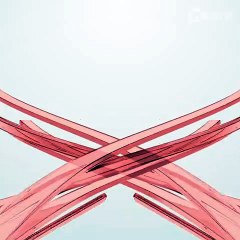 Homem cai de tirolesa em chácara; veja vídeo do resgate