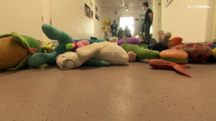 Среди собак тоже есть гении