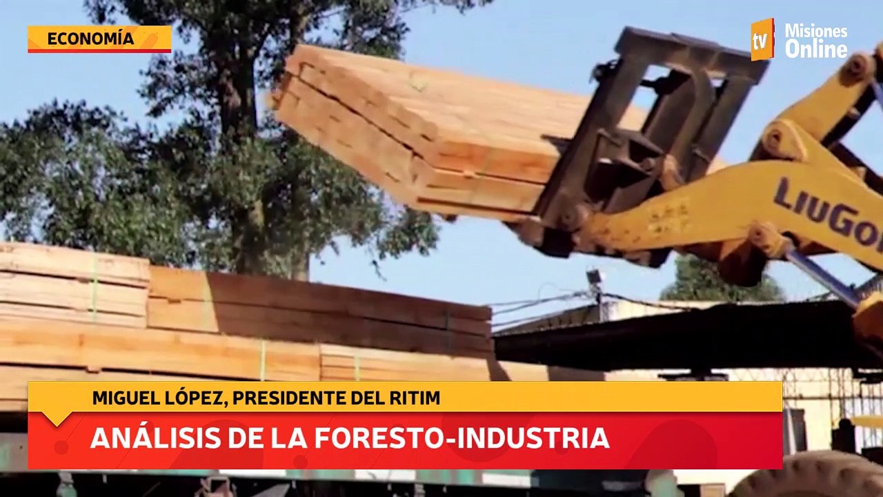 Análisis de la Foresto-Industria