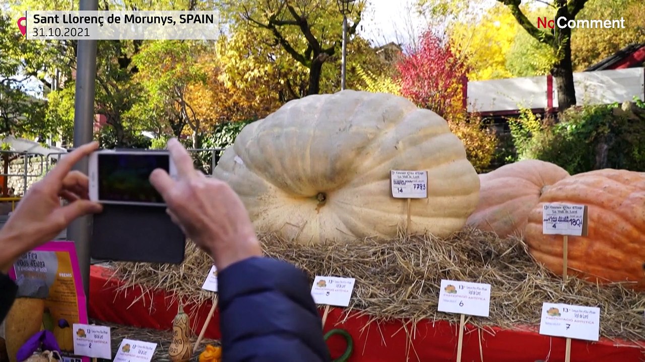 Zombies und 780-Kilo-Kürbisse: So gruselig war Halloween weltweit
