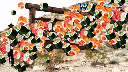 China Ranch At Death vally