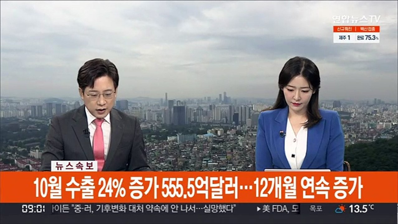 [속보] 10일 수출 24% 증가 555.5억달러…12개월 연속 증가