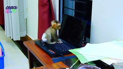 5=OMG !! Baby ALDO Runs Away From AVA To Look At Computer#5