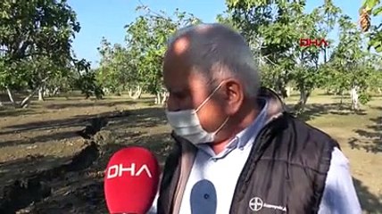 Aydın'da yağış sonrası oluşan çatlaklar tedirgin etti