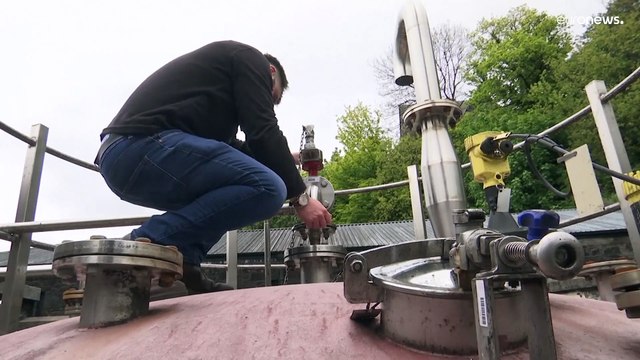 Greener whisky: Scottish distilleries working on reducing carbon footprint