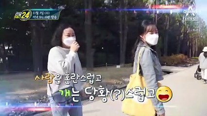 [예고] ※진짜 고양이 아님※ 소름 돋는 디테일! 양모 인형 작가의 세계