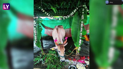 Vasubaras 2021: आज वसुबारस , जाणून घ्या या दिवसाची माहिती आणि महत्व