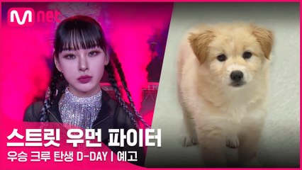 [스우파 예고] 헤이마마부터 푸딩이까지! 파이널 비하인드 대.방.출★ | ′우승 크루 탄생 D-DAY′ 내일 밤 10시 20분