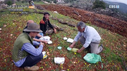 세계테마기행 - 이것이 진짜 중동- 전설의 왕의 대로, 요르단_#003