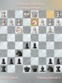 Thats' How You Play Bishop Opening Berlin Defense | Game Play Chess Bishop Opening Berlin Defense
