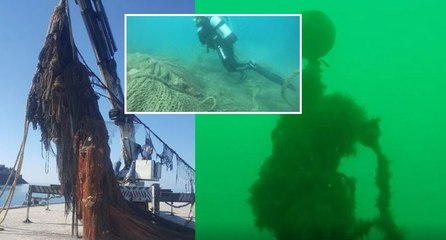 Dalgıçlar İstanbul’da buldu! Şu ana kadar tespit edilenin en büyüğü