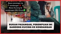 Bukan Pasangan, Perempuan Ini Gandeng Kucing Seragaman ke Kondangan