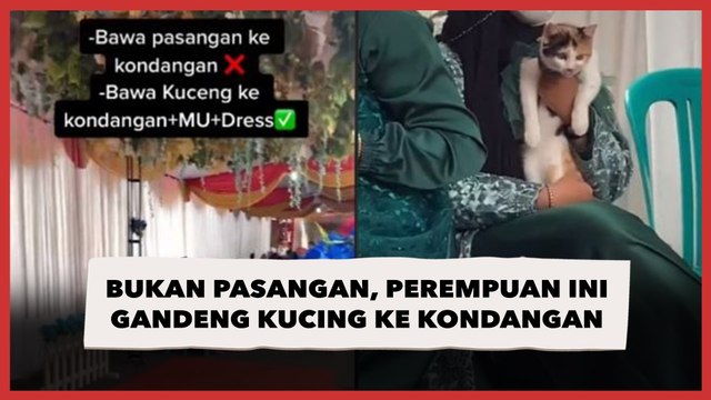 Bukan Pasangan, Perempuan Ini Gandeng Kucing Seragaman ke Kondangan