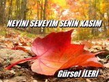 Gürsel İleri - Neyini Seveyim Senin Kasım