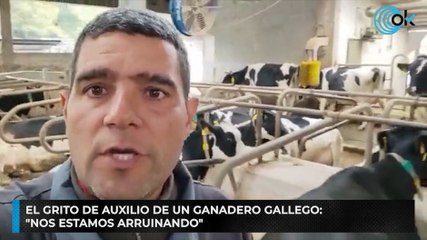 El grito de auxilio de un ganadero gallego: "Nos estamos arruinando"