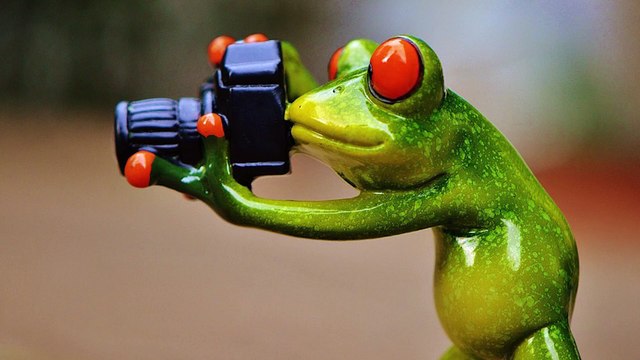 Clip étudiantes LPA M55 annee 2020 2021