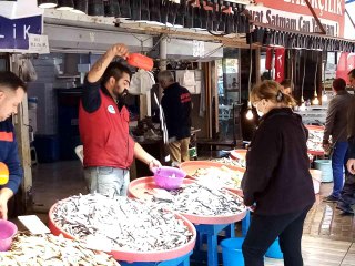 Nakliye ücretleri hamsi fiyatını 3 kat arttırıyor