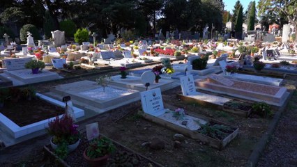 Covid-19: Több mint 5 millió áldozat világszerte