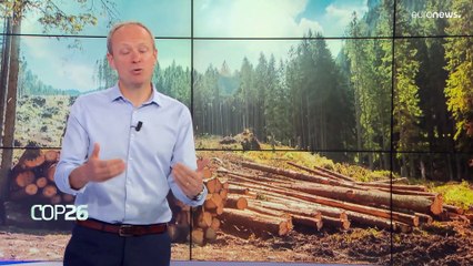 Der Unterschied zwischen CO2-Emissionen und CO2-Konzentration