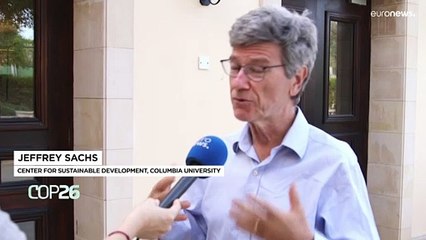 "Não é necessária [energia] nuclear para chegar à neutralidade", defende Jeffrey Sachs