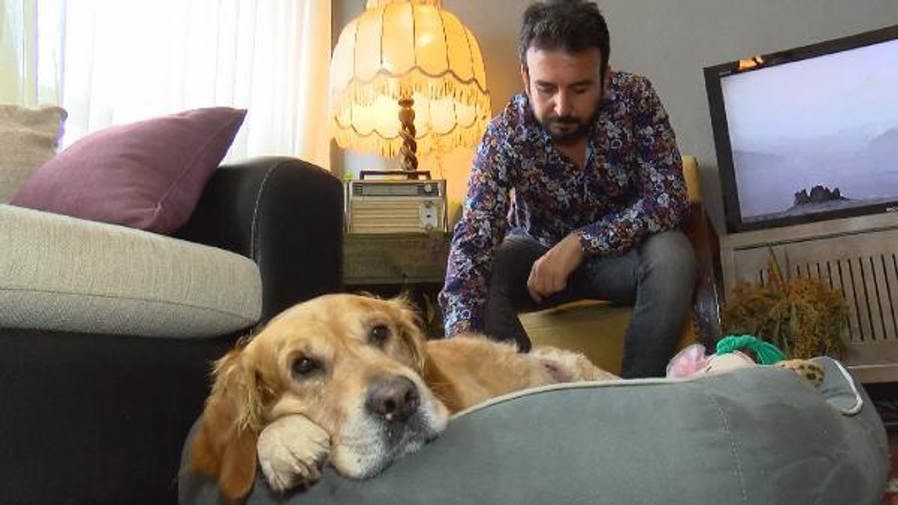 KADIKÖY MODA'DA KÖPEK TARTIŞMASI