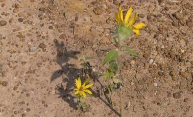 เรื่องพลบค่ำ ช่วงที่ 1 วันจันทร์ที่ 1 พ.ย.64