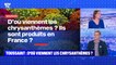 BFMTV répond à vos questions : Quelles fleurs pour la Toussaint ? - 01/11
