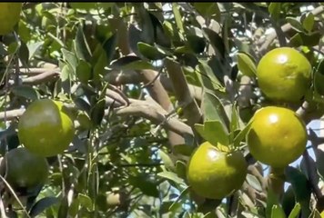 เรื่องพลบค่ำ ช่วงที่ 4 วันจันทร์ที่ 1 พ.ย.64