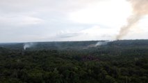 قضية غابات الأمازون في البرازيل
