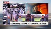 Thierry Coste : «Yannick Jadot rêve d'interdire la chasse tout court»