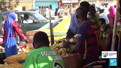 What are the greenest countries in the world ?