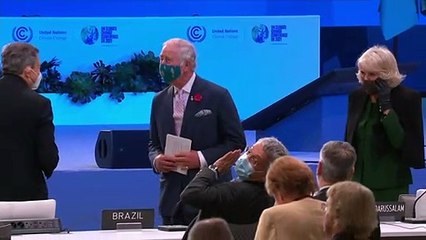Prince Charles: 'War-like footing' needed in climate fight