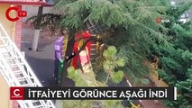 Çatıda mahsur kalan kedi, itfaiye ekiplerini görünce kendisi aşağı indi