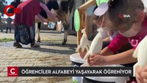 Öğrencilerine ‘İ’ harfini öğretmek için okula inek getirdi