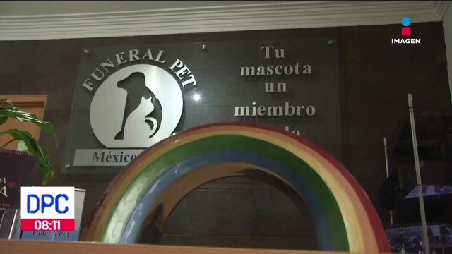 Digno último adiós a mascotas a través de cremación ecológica