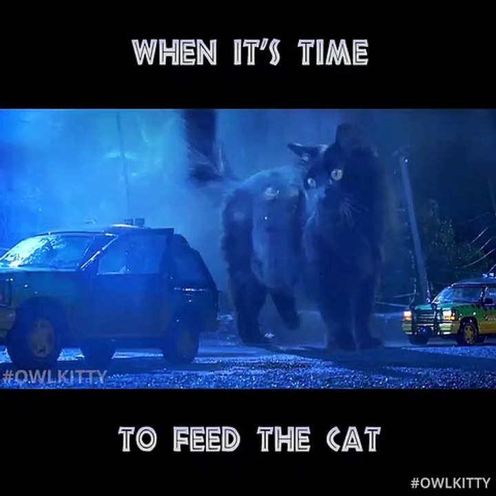 Funny Jurassic Park Scene Parody 